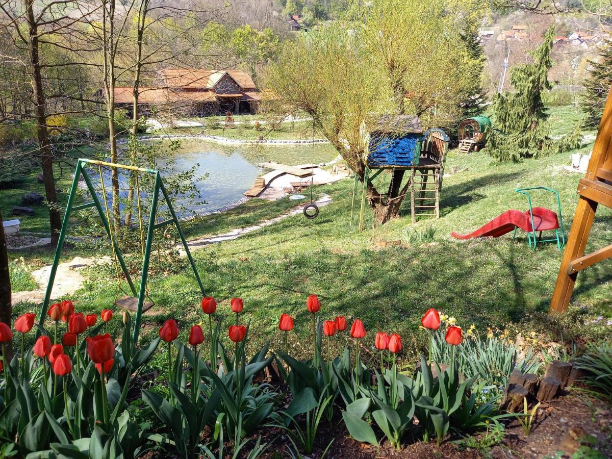 Country House With A Pool In Medvednica Nature Park Zagreb Dış mekan fotoğraf