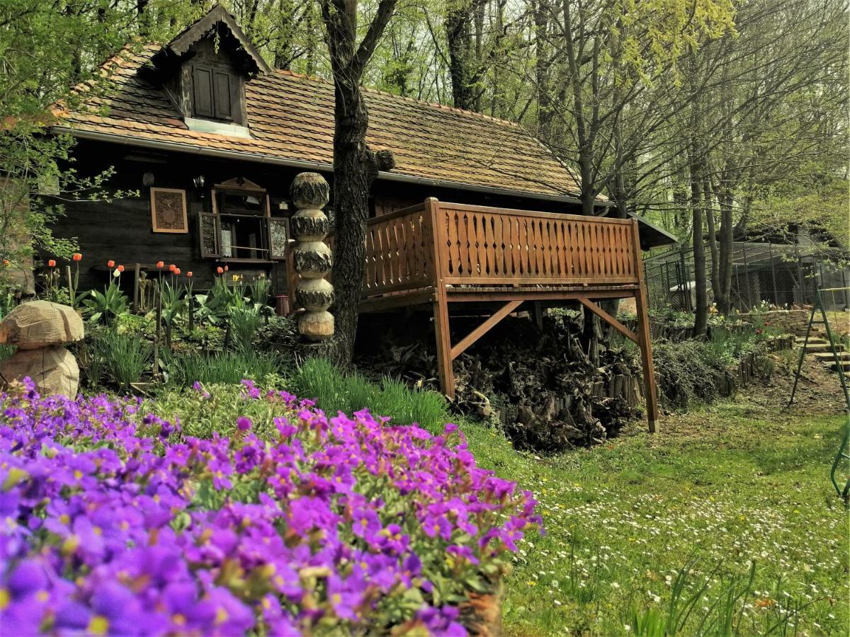 Country House With A Pool In Medvednica Nature Park Zagreb Dış mekan fotoğraf