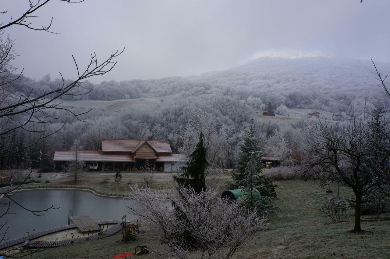 Country House With A Pool In Medvednica Nature Park Zagreb Dış mekan fotoğraf